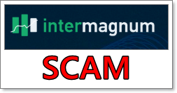 intermagnum.com-logo, intermagnum, intermagnum comentarios, opinion, experiencia